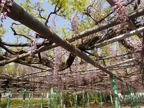 西寒多神社の自然