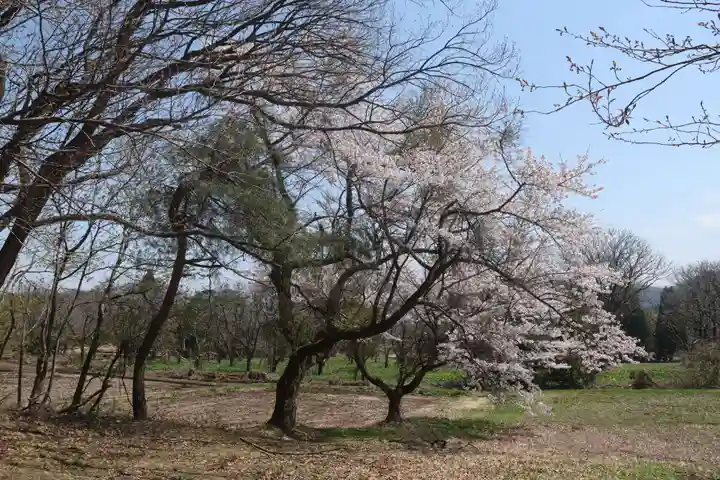 笹山原神社の自然