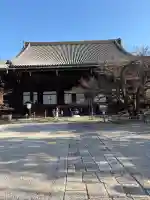 真正極楽寺(真如堂)の{uncategorized: "未分類", other: "その他", undefined: "問題あり", building: "その他建物", grave: "お墓", sacred_gate: "鳥居", guardian: "狛犬", statue: "像", buddha: "仏像", history: "歴史", nature: "自然", garden: "庭園", animal: "動物", pagoda: "塔", temizu: "手水舎", mountain_gate: "山門・神門", sanctuary: "本殿・本堂", subordinate: "末社・摂社", art: "芸術", scenery: "景色", jizo: "地蔵", ema: "絵馬", goshuin: "御朱印", omikuji: "おみくじ", items: "授与品その他", amulet: "お守り", goshuincho: "御朱印帳", eats: "食事", festival: "お祭り", votive_dance: "神楽", shichigosan: "七五三参", wedding: "結婚式", experience: "体験その他", initially: "初詣", around: "周辺", anti_infection: "感染症対策"}