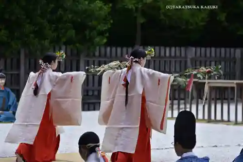 阿佐ヶ谷神明宮(東京都)