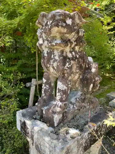 鍬山神社の狛犬