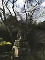 阿太加夜神社の狛犬