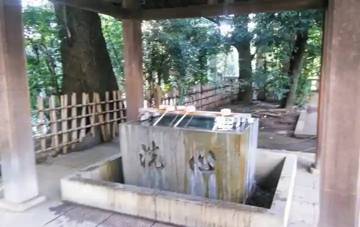 渋谷氷川神社の手水舎