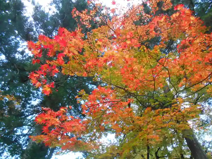 華厳寺(岐阜県)
