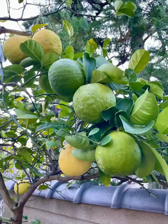 浄蓮寺(神奈川県)