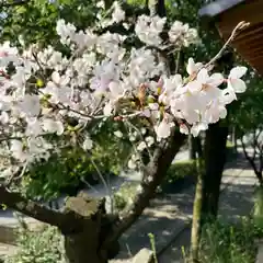 定林山　能成寺の自然