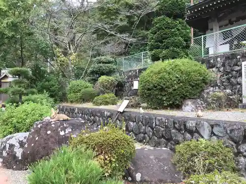 日蓮宗 総本山 塔頭 定林坊(じょうりんぼう)のその他建物