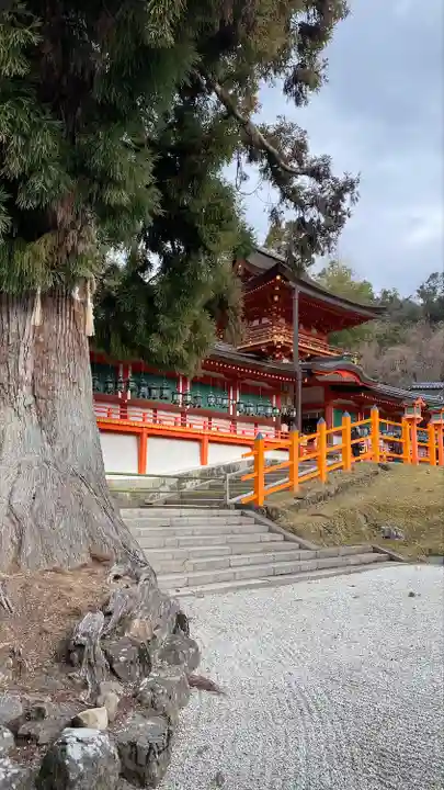 春日大社(奈良県)