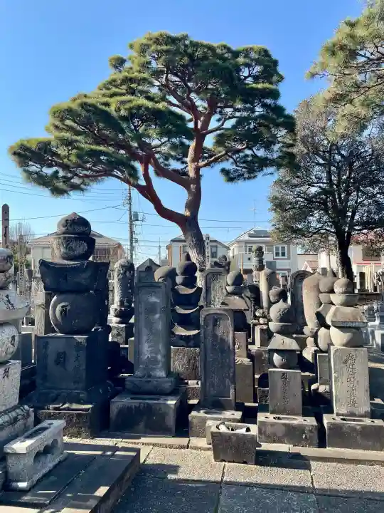 東長谷寺 薬王院の{uncategorized: "未分類", other: "その他", undefined: "問題あり", building: "その他建物", grave: "お墓", sacred_gate: "鳥居", guardian: "狛犬", statue: "像", buddha: "仏像", history: "歴史", nature: "自然", garden: "庭園", animal: "動物", pagoda: "塔", temizu: "手水舎", mountain_gate: "山門・神門", sanctuary: "本殿・本堂", subordinate: "末社・摂社", art: "芸術", scenery: "景色", jizo: "地蔵", ema: "絵馬", goshuin: "御朱印", omikuji: "おみくじ", items: "授与品その他", amulet: "お守り", goshuincho: "御朱印帳", eats: "食事", festival: "お祭り", votive_dance: "神楽", shichigosan: "七五三参", wedding: "結婚式", experience: "体験その他", initially: "初詣", around: "周辺", anti_infection: "感染症対策"}