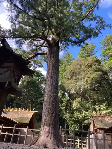 瀧原宮(皇大神宮別宮)(三重県)