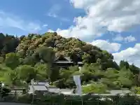 三部権現社の{uncategorized: "未分類", other: "その他", undefined: "問題あり", building: "その他建物", grave: "お墓", sacred_gate: "鳥居", guardian: "狛犬", statue: "像", buddha: "仏像", history: "歴史", nature: "自然", garden: "庭園", animal: "動物", pagoda: "塔", temizu: "手水舎", mountain_gate: "山門・神門", sanctuary: "本殿・本堂", subordinate: "末社・摂社", art: "芸術", scenery: "景色", jizo: "地蔵", ema: "絵馬", goshuin: "御朱印", omikuji: "おみくじ", items: "授与品その他", amulet: "お守り", goshuincho: "御朱印帳", eats: "食事", festival: "お祭り", votive_dance: "神楽", shichigosan: "七五三参", wedding: "結婚式", experience: "体験その他", initially: "初詣", around: "周辺", anti_infection: "感染症対策"}
