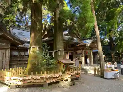 高千穂神社(宮崎県)