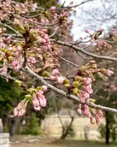 高司神社〜むすびの神の鎮まる社〜(福島県)(2026年04月05日(日) 15時17分07秒投稿)