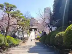 護国寺(東京都)