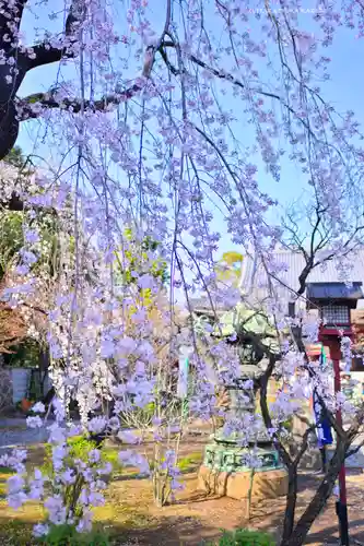 寛永寺開山堂(東京都)