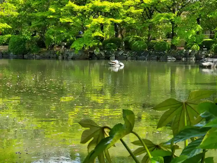 東寺(教王護国寺)の動物