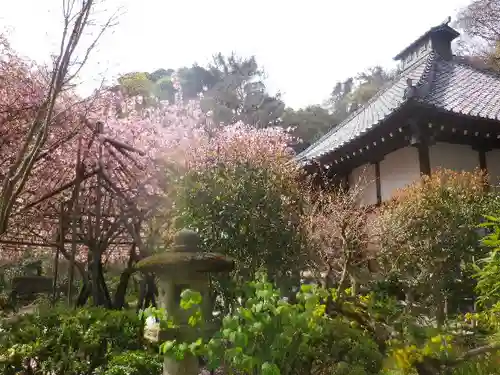 光則寺の景色