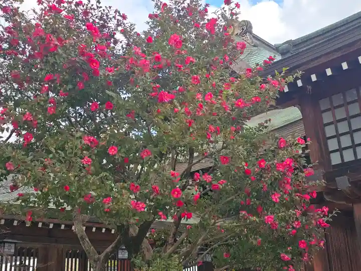橿原神宮(奈良県)