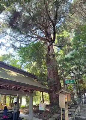 高千穂神社(宮崎県)