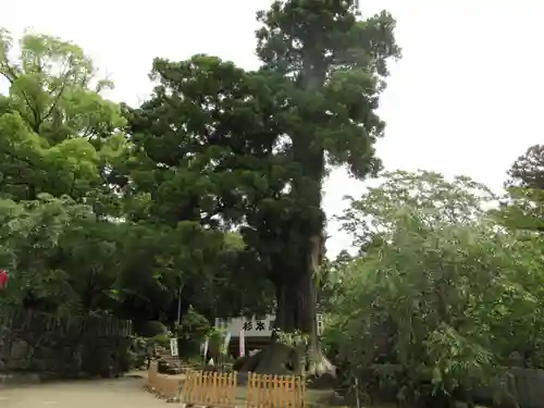 筑波山大御堂のその他建物