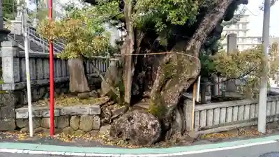湯前神社(静岡県)