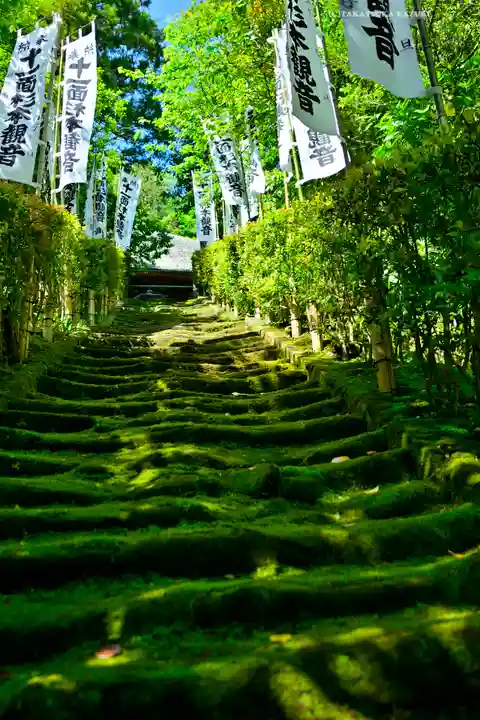 杉本寺(神奈川県)