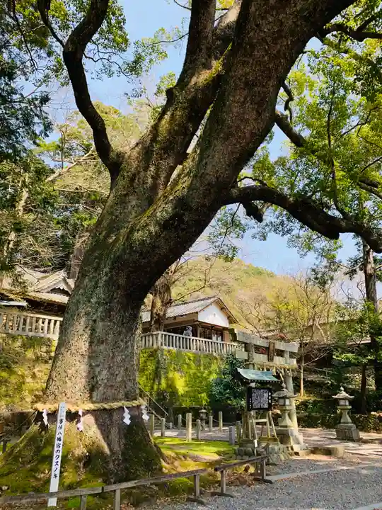 事任八幡宮の御朱印