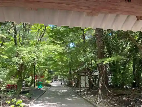 目の霊山　油山寺(静岡県)