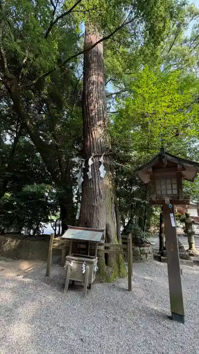 石上神宮(奈良県)