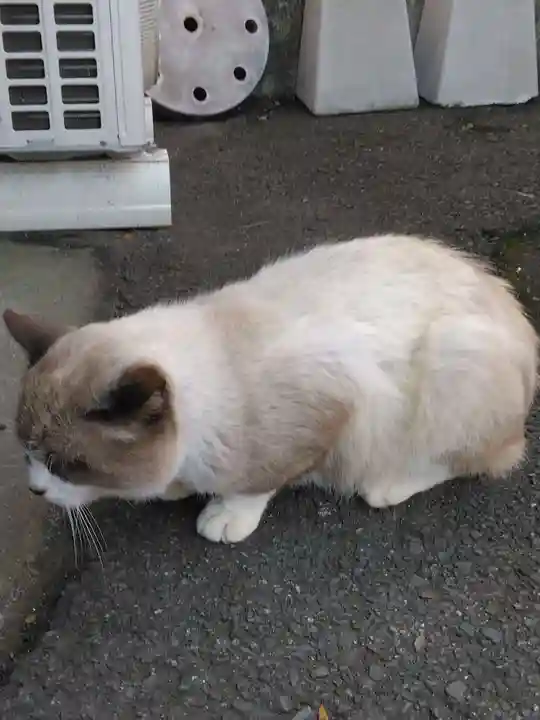 観音山慈眼院(高崎観音)(群馬県)