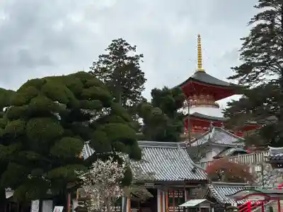 中山寺の{uncategorized: "未分類", other: "その他", undefined: "問題あり", building: "その他建物", grave: "お墓", sacred_gate: "鳥居", guardian: "狛犬", statue: "像", buddha: "仏像", history: "歴史", nature: "自然", garden: "庭園", animal: "動物", pagoda: "塔", temizu: "手水舎", mountain_gate: "山門・神門", sanctuary: "本殿・本堂", subordinate: "末社・摂社", art: "芸術", scenery: "景色", jizo: "地蔵", ema: "絵馬", goshuin: "御朱印", omikuji: "おみくじ", items: "授与品その他", amulet: "お守り", goshuincho: "御朱印帳", eats: "食事", festival: "お祭り", votive_dance: "神楽", shichigosan: "七五三参", wedding: "結婚式", experience: "体験その他", initially: "初詣", around: "周辺", anti_infection: "感染症対策"}