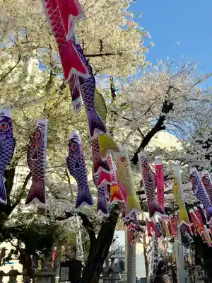 くまくま神社(導きの社 熊野町熊野神社)(東京都)