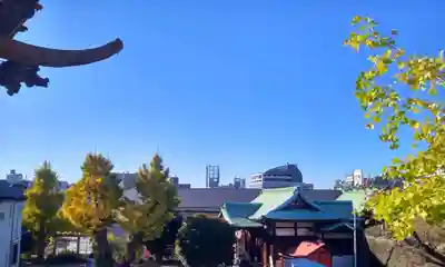 小日向神社(東京都)