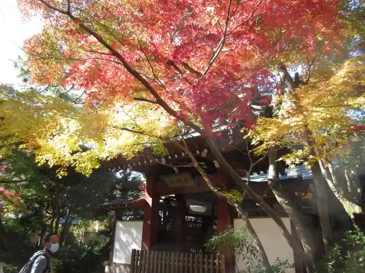 本土寺の山門・神門