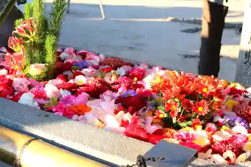 三津厳島神社(愛媛県)