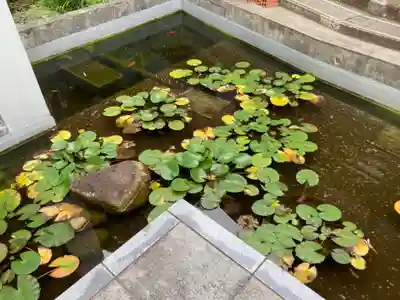 龍台寺(神奈川県)