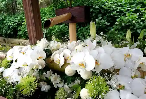 白山神社の手水舎