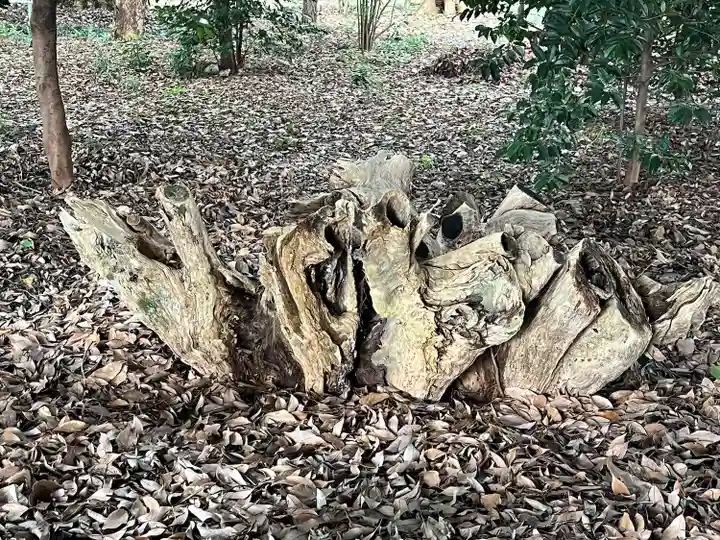手力雄神社(岐阜県)