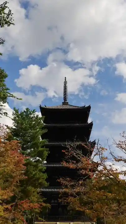 仁和寺の塔