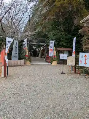 白鬚神社の{uncategorized: "未分類", other: "その他", undefined: "問題あり", building: "その他建物", grave: "お墓", sacred_gate: "鳥居", guardian: "狛犬", statue: "像", buddha: "仏像", history: "歴史", nature: "自然", garden: "庭園", animal: "動物", pagoda: "塔", temizu: "手水舎", mountain_gate: "山門・神門", sanctuary: "本殿・本堂", subordinate: "末社・摂社", art: "芸術", scenery: "景色", jizo: "地蔵", ema: "絵馬", goshuin: "御朱印", omikuji: "おみくじ", items: "授与品その他", amulet: "お守り", goshuincho: "御朱印帳", eats: "食事", festival: "お祭り", votive_dance: "神楽", shichigosan: "七五三参", wedding: "結婚式", experience: "体験その他", initially: "初詣", around: "周辺", anti_infection: "感染症対策"}