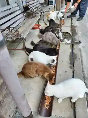 御誕生寺（猫寺）(福井県)