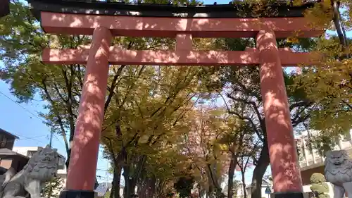 武蔵一宮氷川神社の鳥居