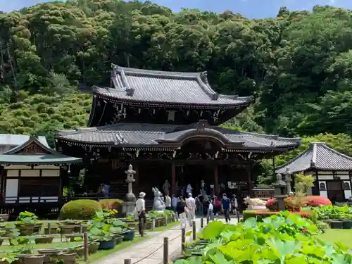 三室戸寺の本殿・本堂