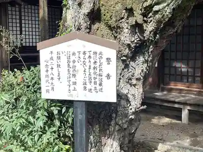 心念寺(三重県)