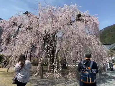 久遠寺(山梨県)