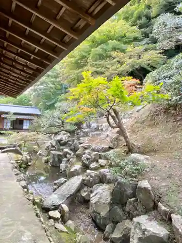 正法寺の庭園