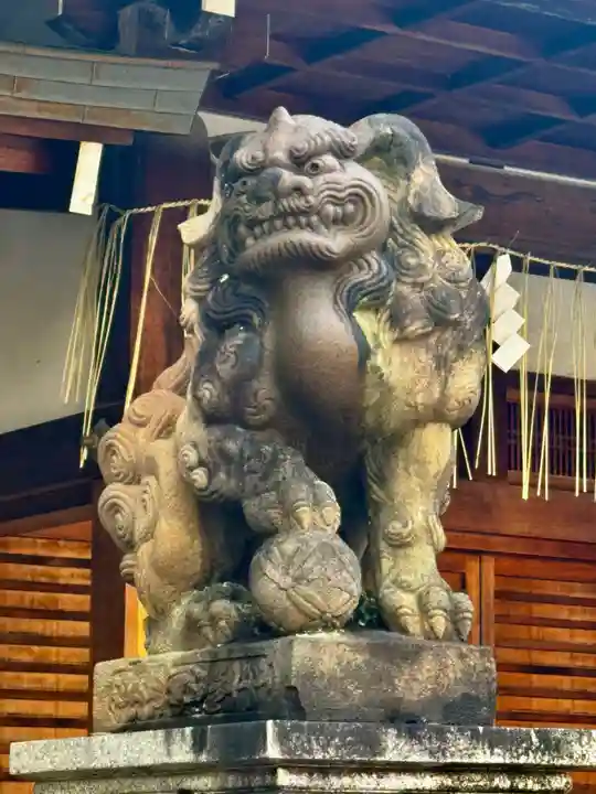 京都ゑびす神社(京都府)