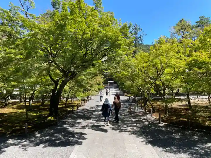 南禅寺(京都府)