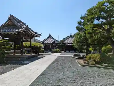 大善寺(京都府)