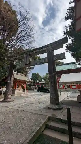 藤崎八旛宮の鳥居